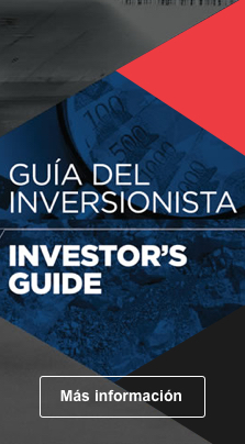 Guía del Inversionista